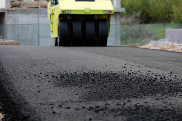 Best Custom Driveway Pavers  in South Hill, VA
